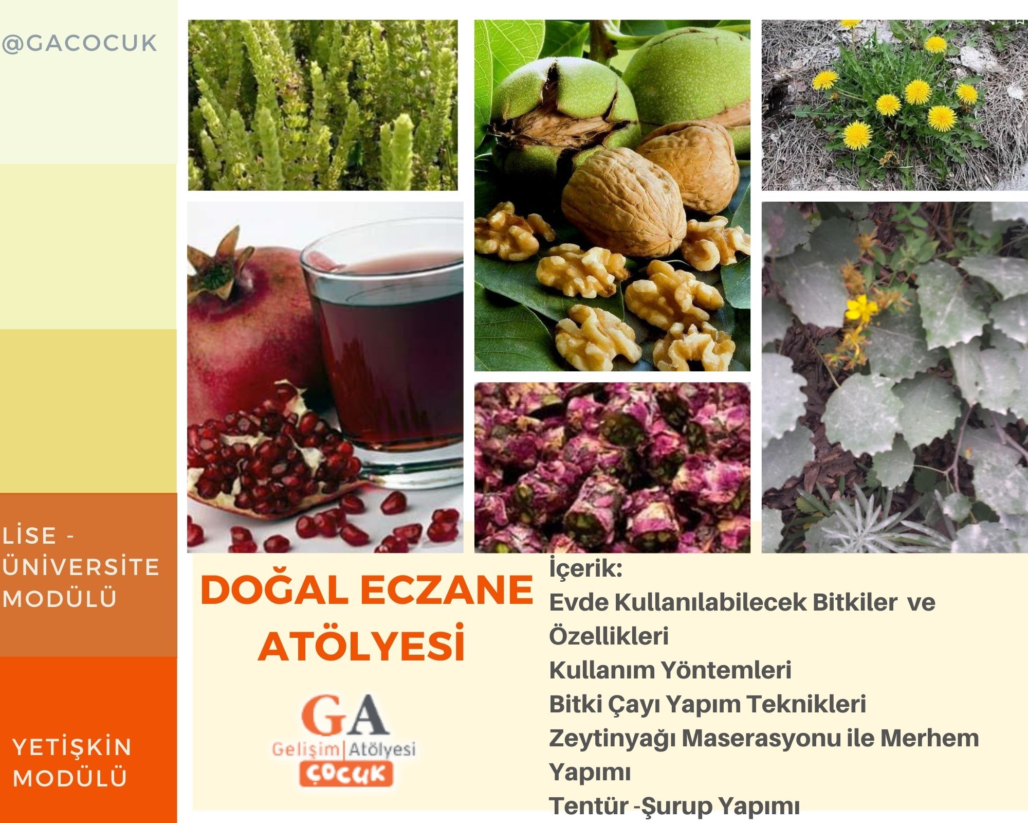 Doğal Eczane Atölyeleri 